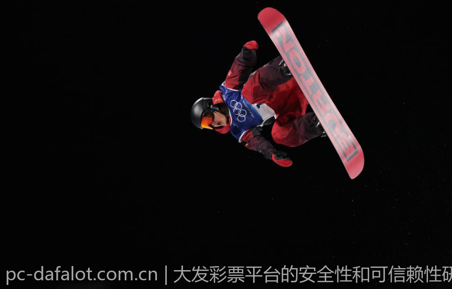 大发彩票平台的安全性和可信赖性研究