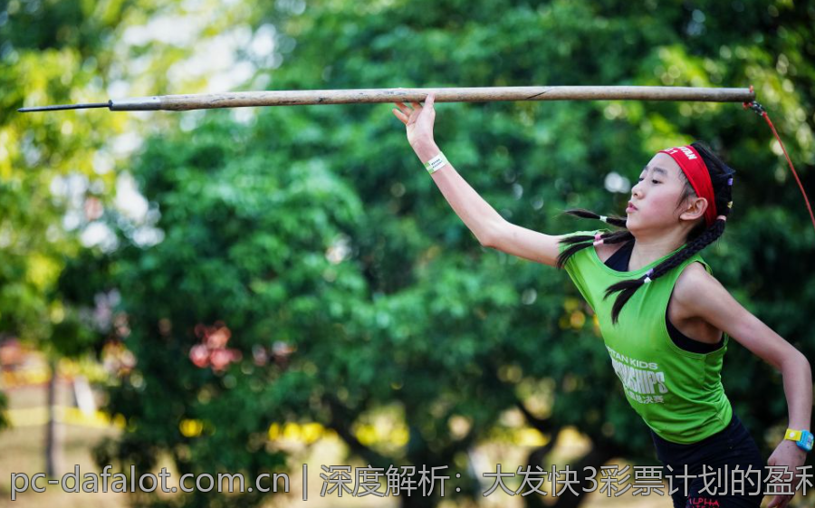 深度解析：大发快3彩票计划的盈利模型