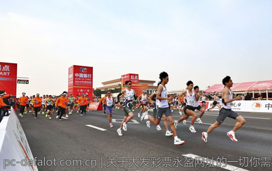 关于大发彩票永盈网址的一切你需要知道